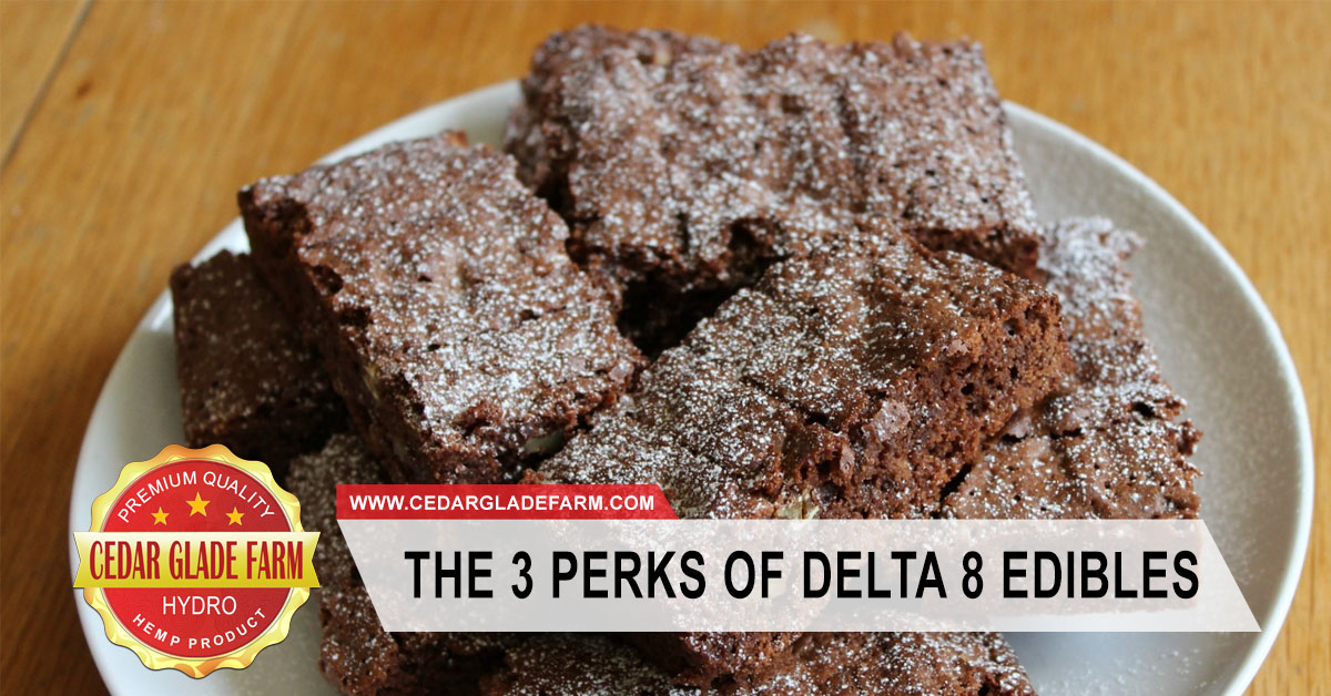 The 3 Perks of Delta 8 Edibles